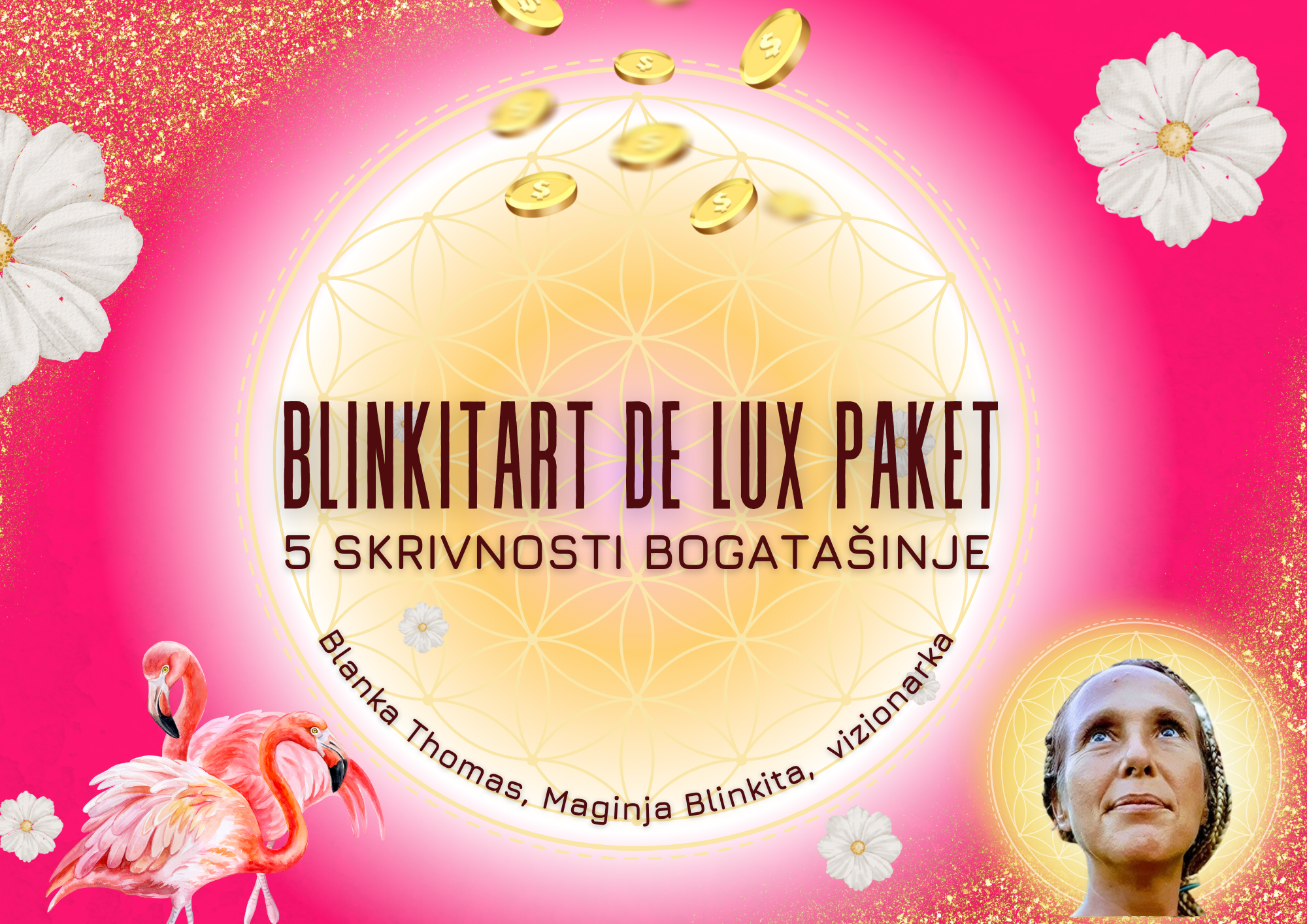 BlinkitArt DeLux paket skupinsko