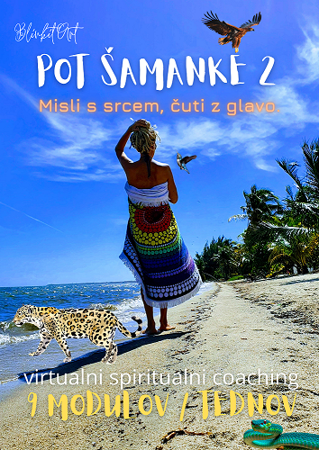 POT ŠAMANKE 2 - virtualno POT ŠAMANKE 2 - virtualno